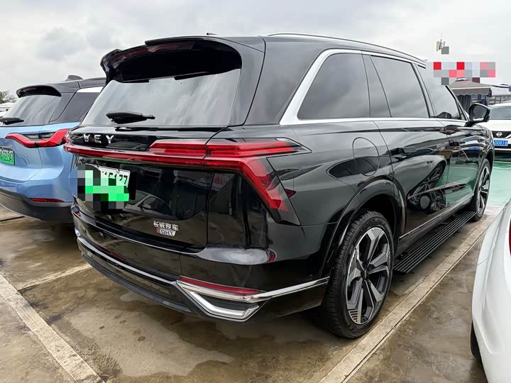 Фото 8 - Wey Lanshan