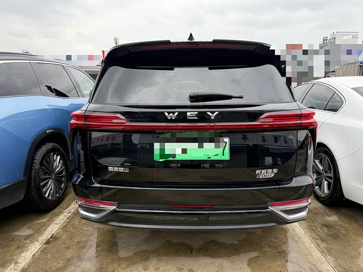 Фото 9 - Wey Lanshan