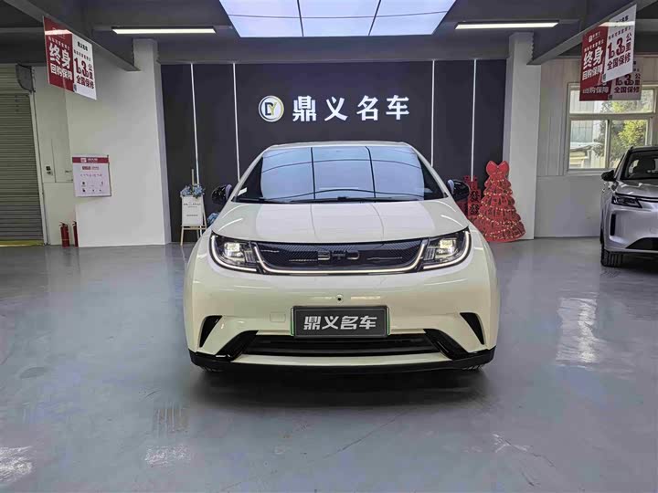 Фото 2 - BYD Dolphin