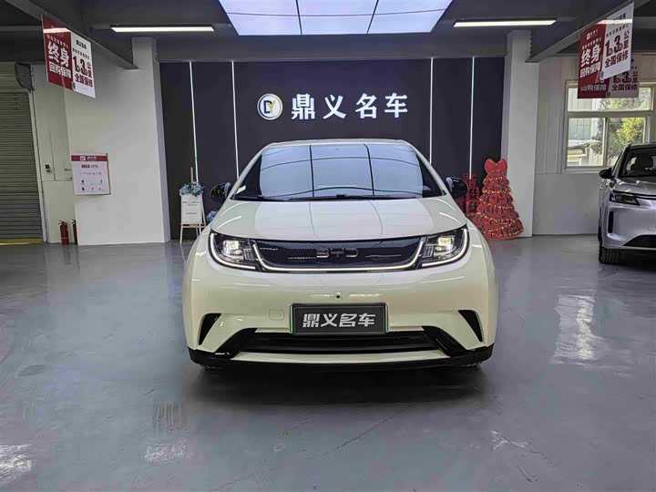 Фото 3 - BYD Dolphin