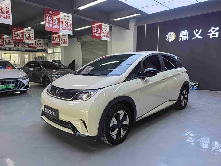 Фото 4 - BYD Dolphin