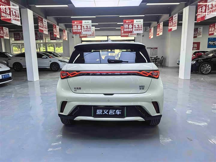 Фото 8 - BYD Dolphin