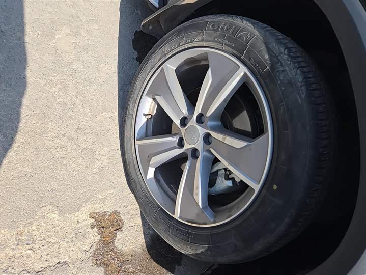 Фото 6 - Geely Okavango L