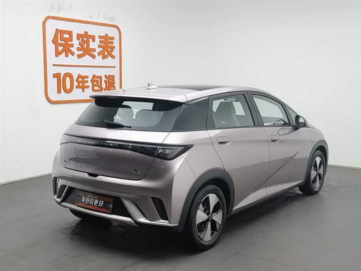 Фото 2 - BYD Dolphin