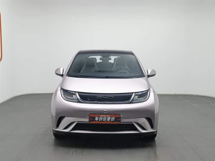 Фото 3 - BYD Dolphin