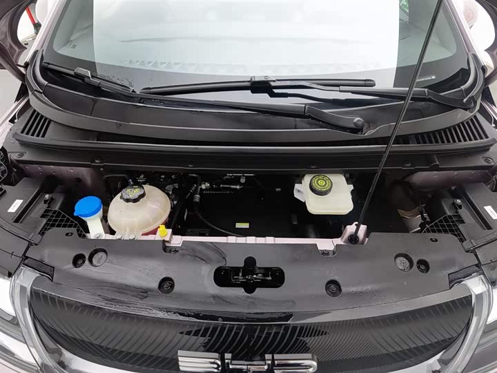 Фото 6 - BYD Dolphin