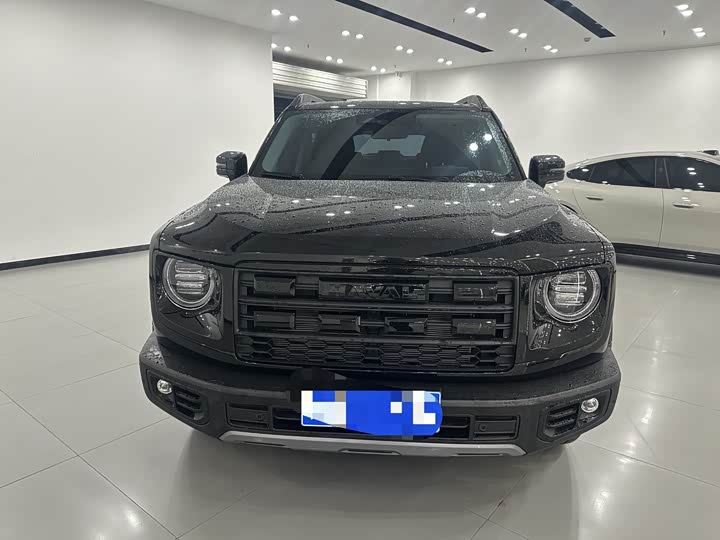 Фото 2 - Haval Dargo