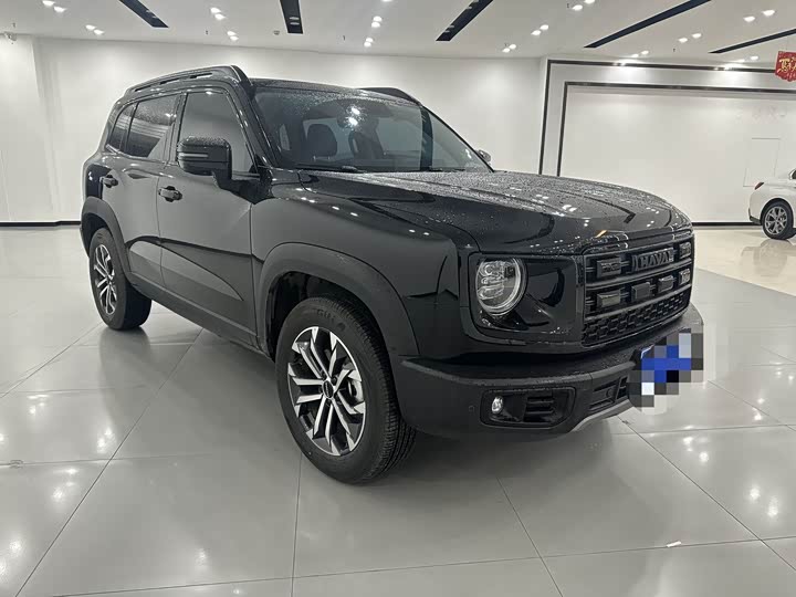 Фото 3 - Haval Dargo