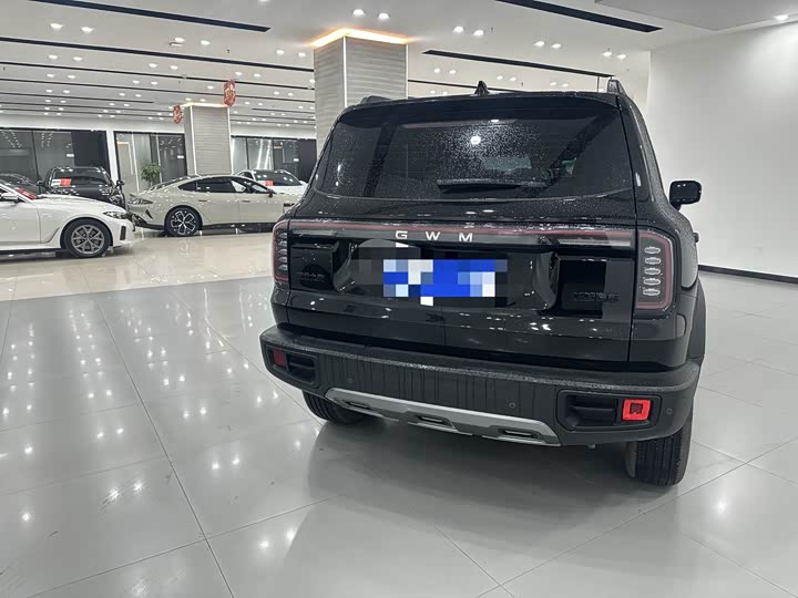 Фото 5 - Haval Dargo