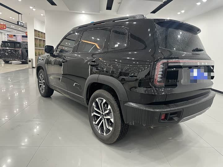 Фото 6 - Haval Dargo