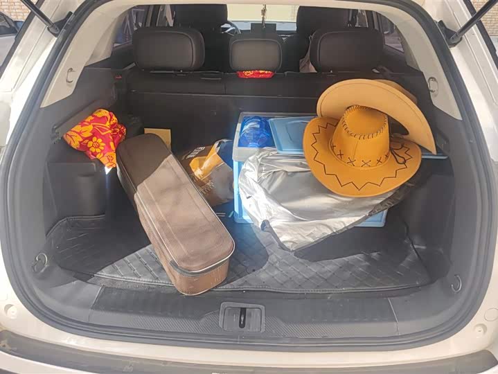 Фото 4 - Chery Jaecoo J7 (Explore 06)