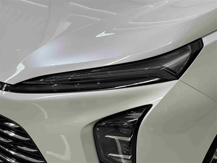 Фото 4 - Buick GL8 ES