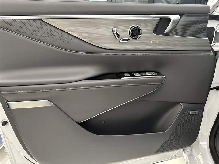 Фото 7 - Buick GL8 ES