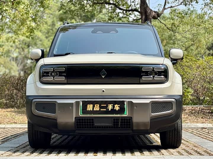 Фото 2 - Baojun Yep Plus