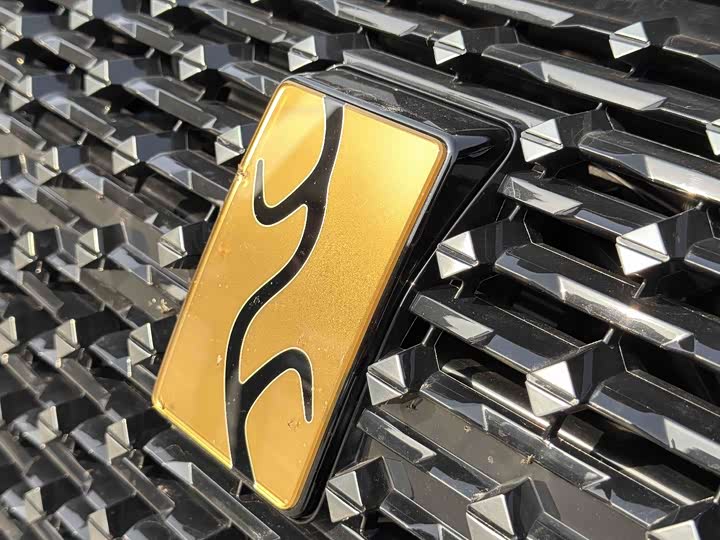 Фото 6 - BYD Yangwang U8