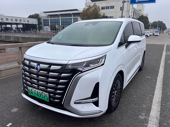 Фото 2 - Denza D9