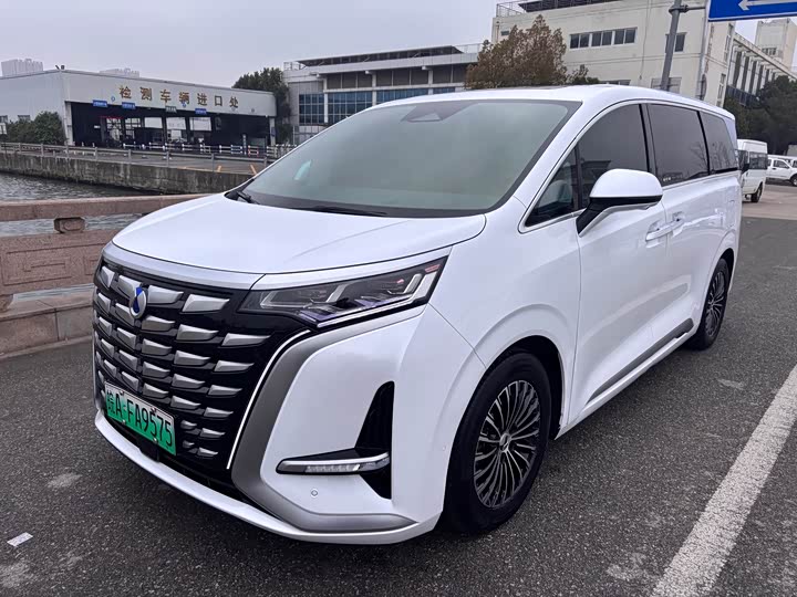 Фото 3 - Denza D9