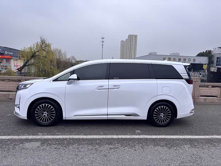 Фото 4 - Denza D9