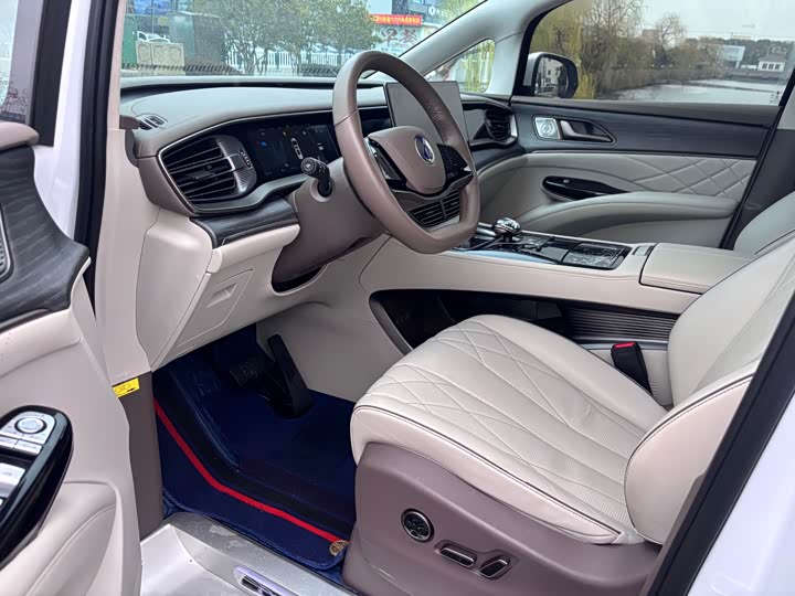 Фото 5 - Denza D9