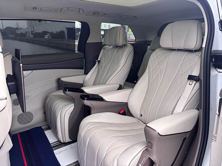 Фото 6 - Denza D9