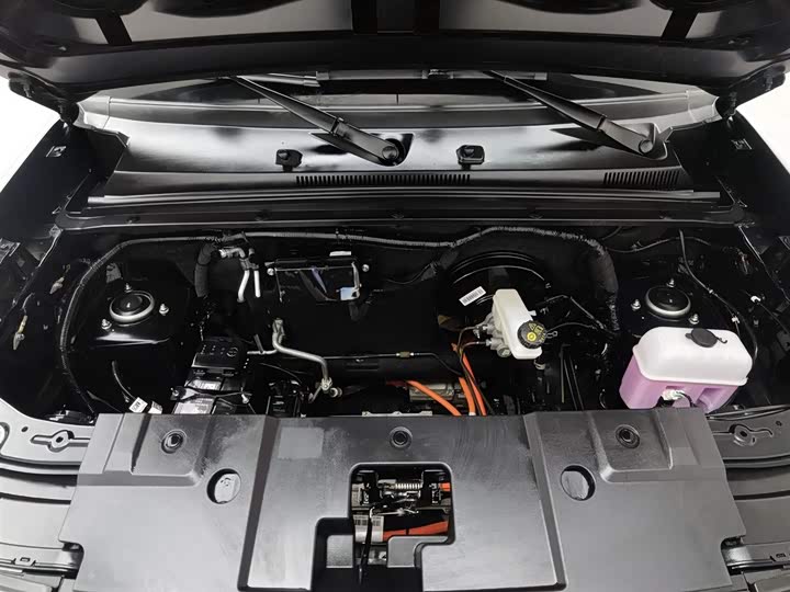 Фото 6 - Baojun Yep