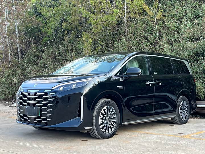 Фото 1 - BYD Xia