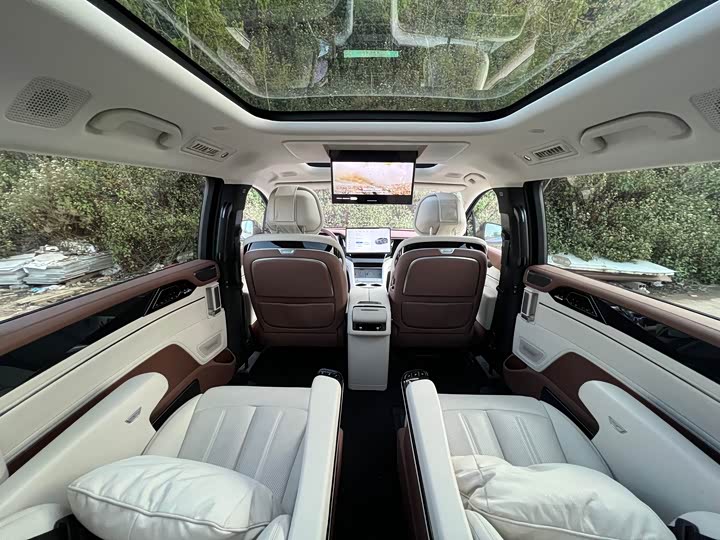 Фото 6 - BYD Xia