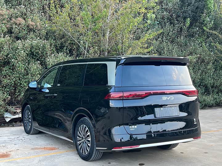 Фото 9 - BYD Xia