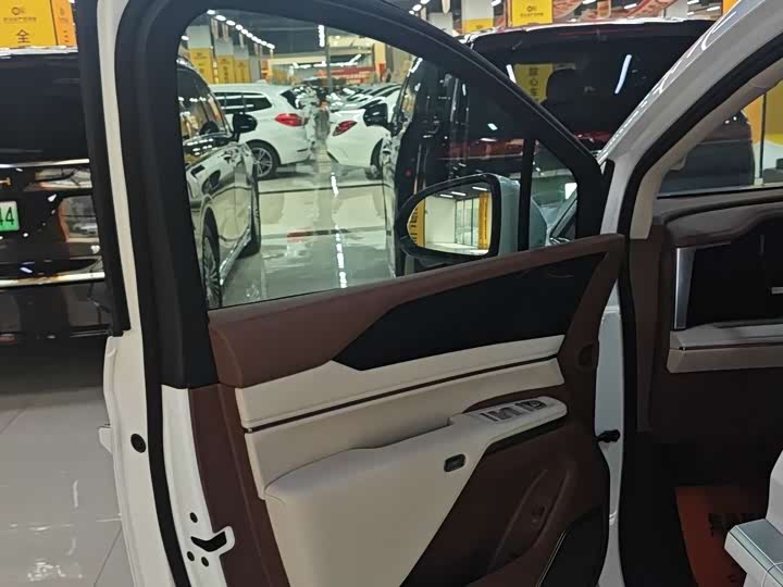 Фото 5 - BYD Xia