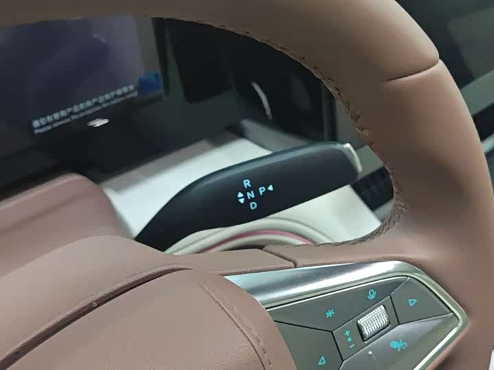 Фото 8 - BYD Xia