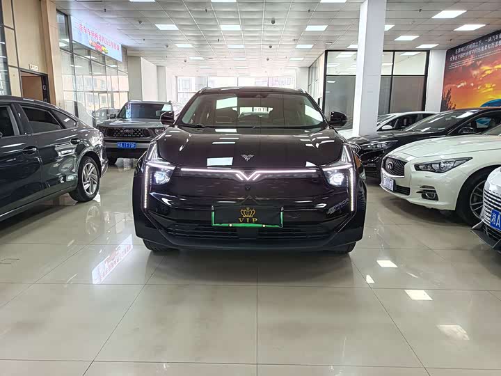 Фото 2 - Hozon U