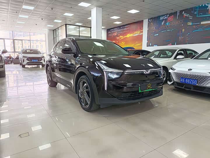 Фото 3 - Hozon U