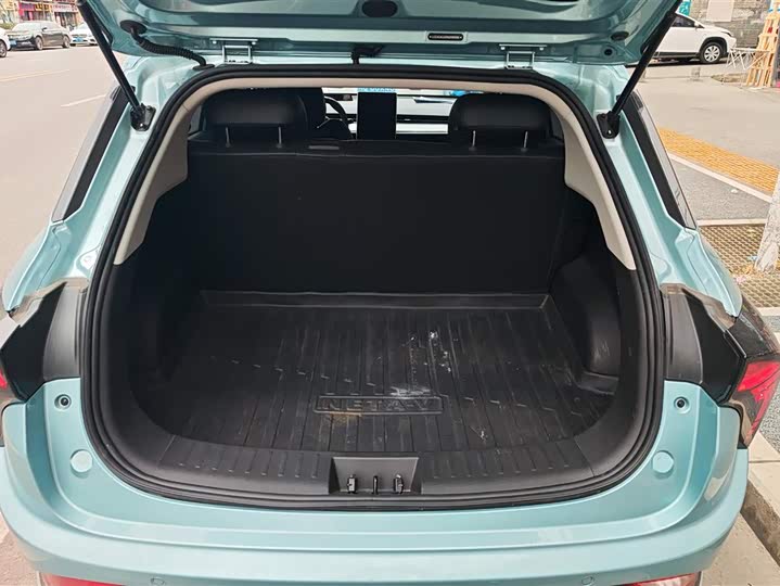 Фото 4 - Hozon V