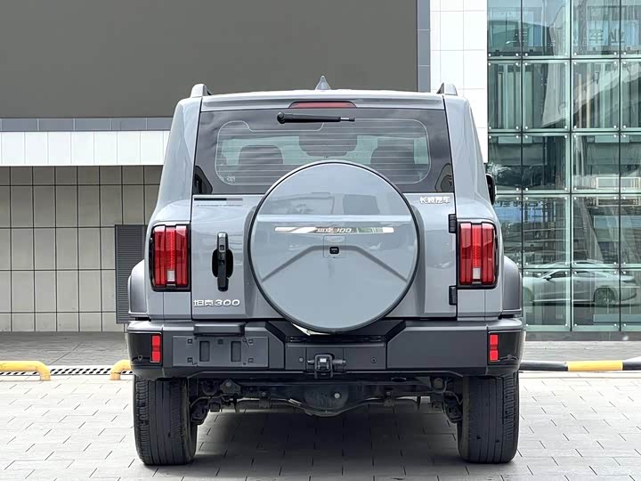 Фото 8 - Tank 300