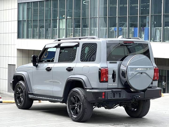 Фото 9 - Tank 300