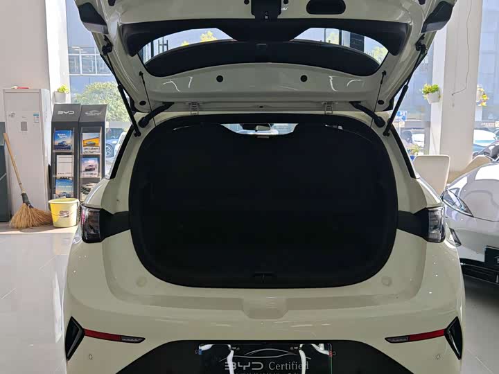 Фото 2 - BYD Dolphin