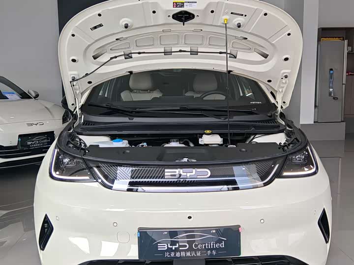 Фото 3 - BYD Dolphin