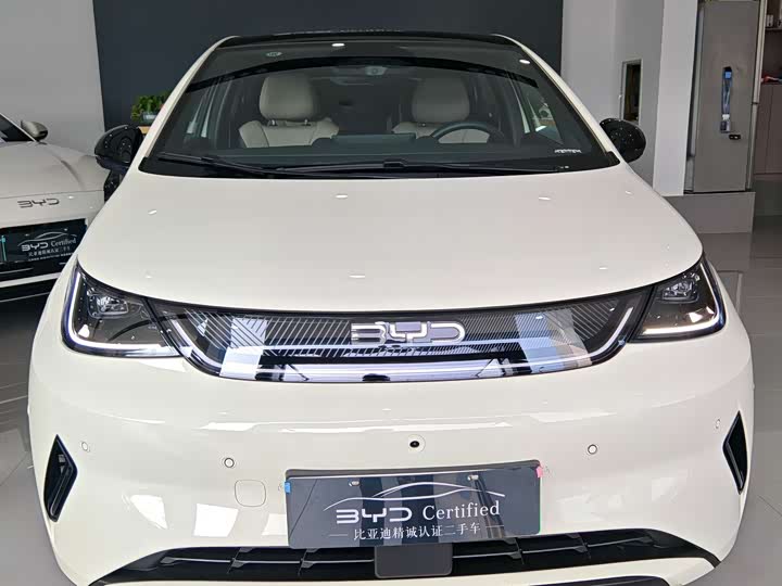 Фото 4 - BYD Dolphin