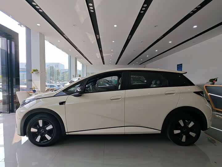 Фото 6 - BYD Dolphin