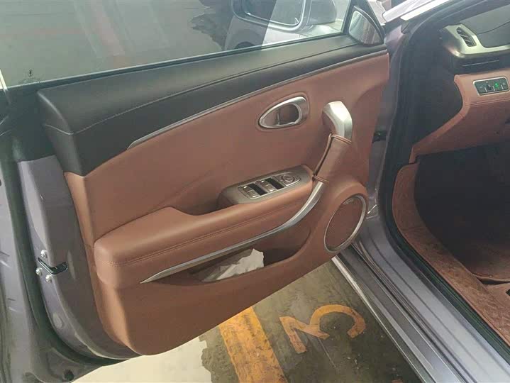 Photo 7 - Ora Lightning Cat (07)