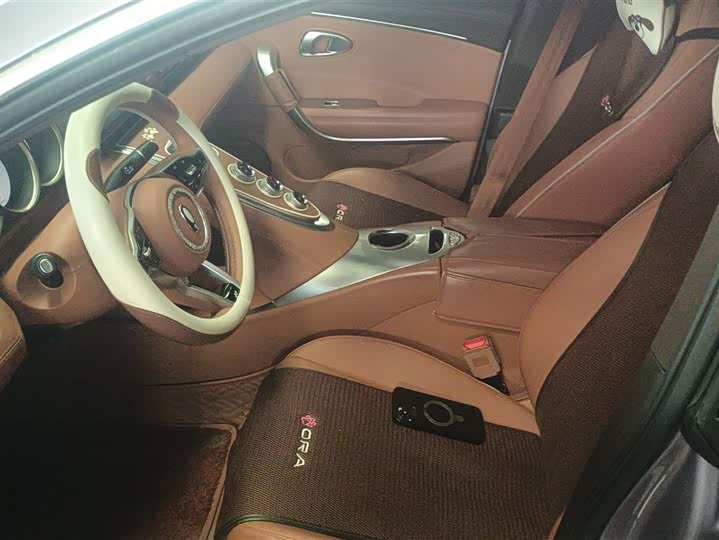 Photo 9 - Ora Lightning Cat (07)