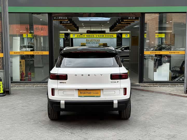 Фото 5 - Geely Icon
