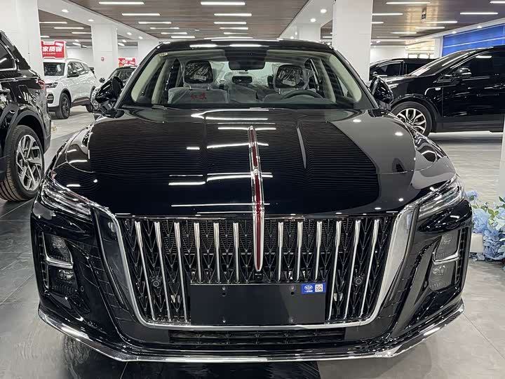 Фото 2 - Hongqi H5