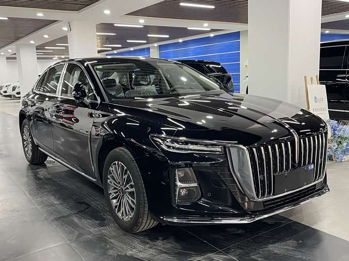 Фото 3 - Hongqi H5