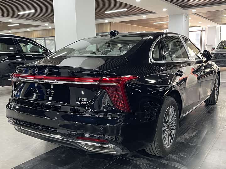 Фото 6 - Hongqi H5