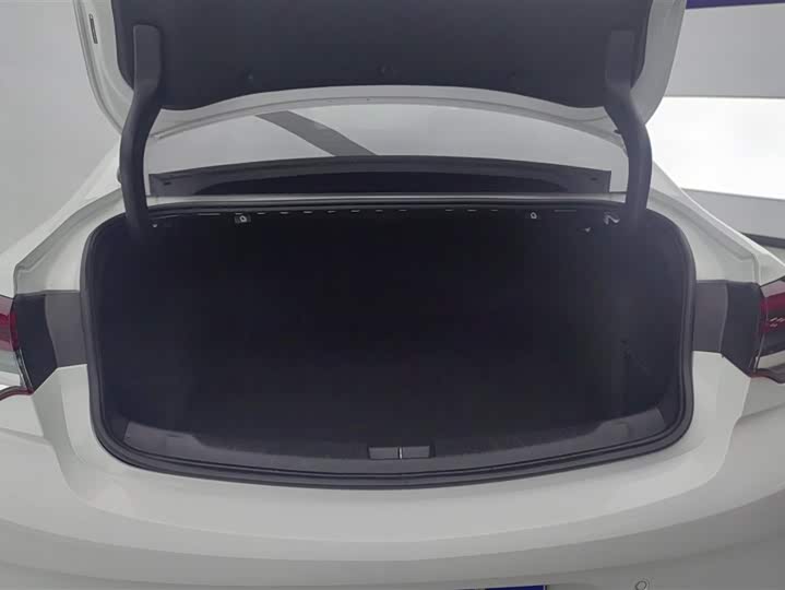 Фото 4 - Buick Regal