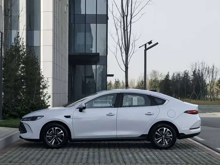 Фото 7 - BYD Qin Plus