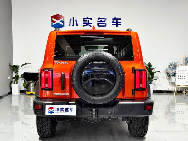 Фото 8 - Tank 300