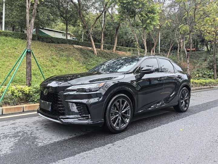 Фото 1 - Lexus RX