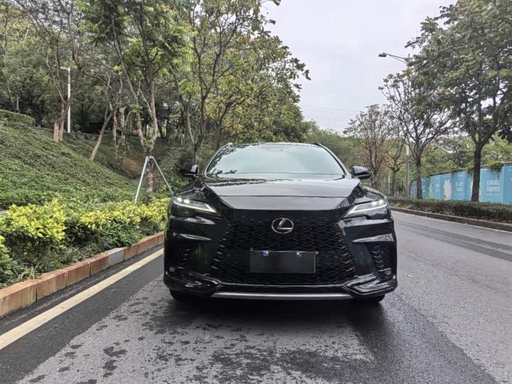 Фото 2 - Lexus RX